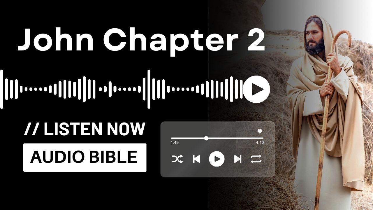 John Chapter 2 Audio Bible