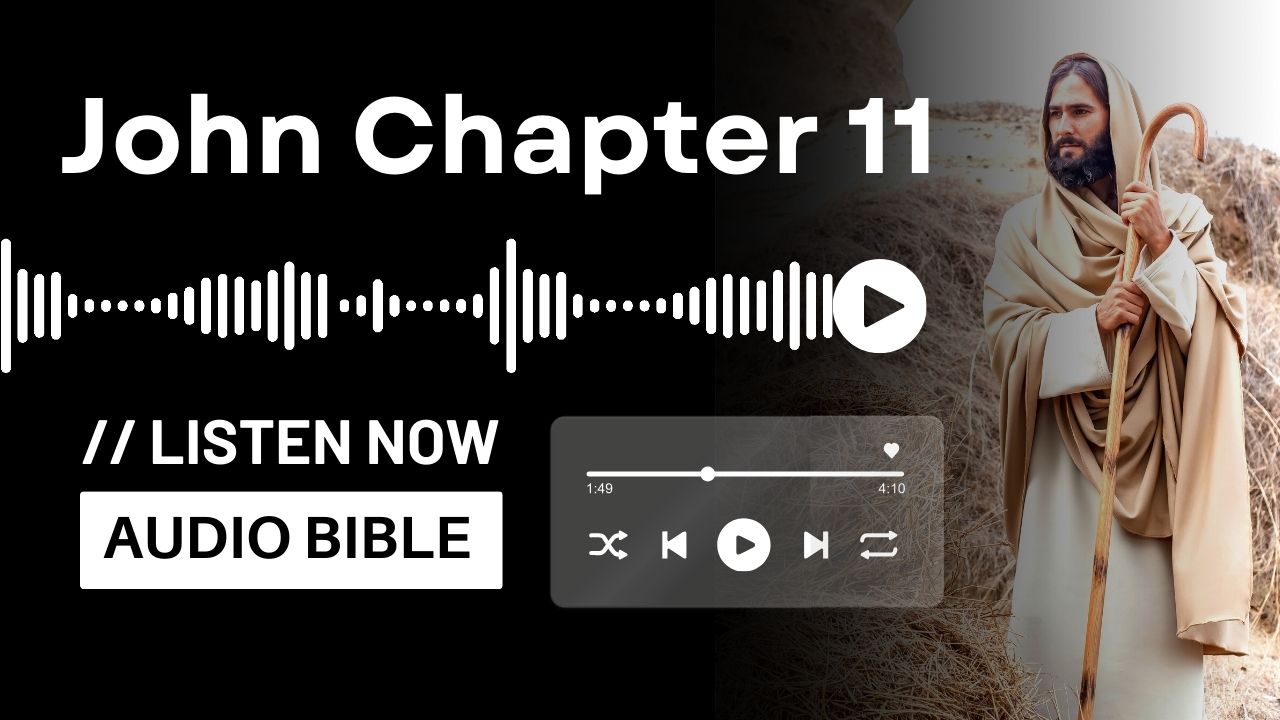 John Chapter 11 Audio Bible